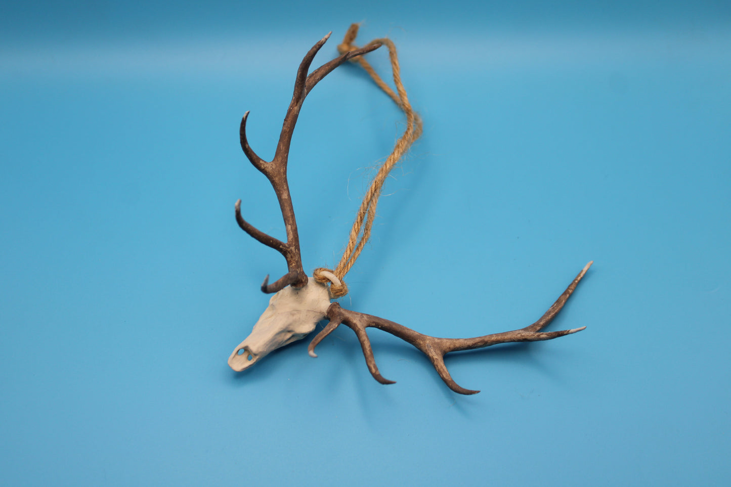 Rustic Elk Skull Ornament – Hand-Painted or Unpainted, Made to Order