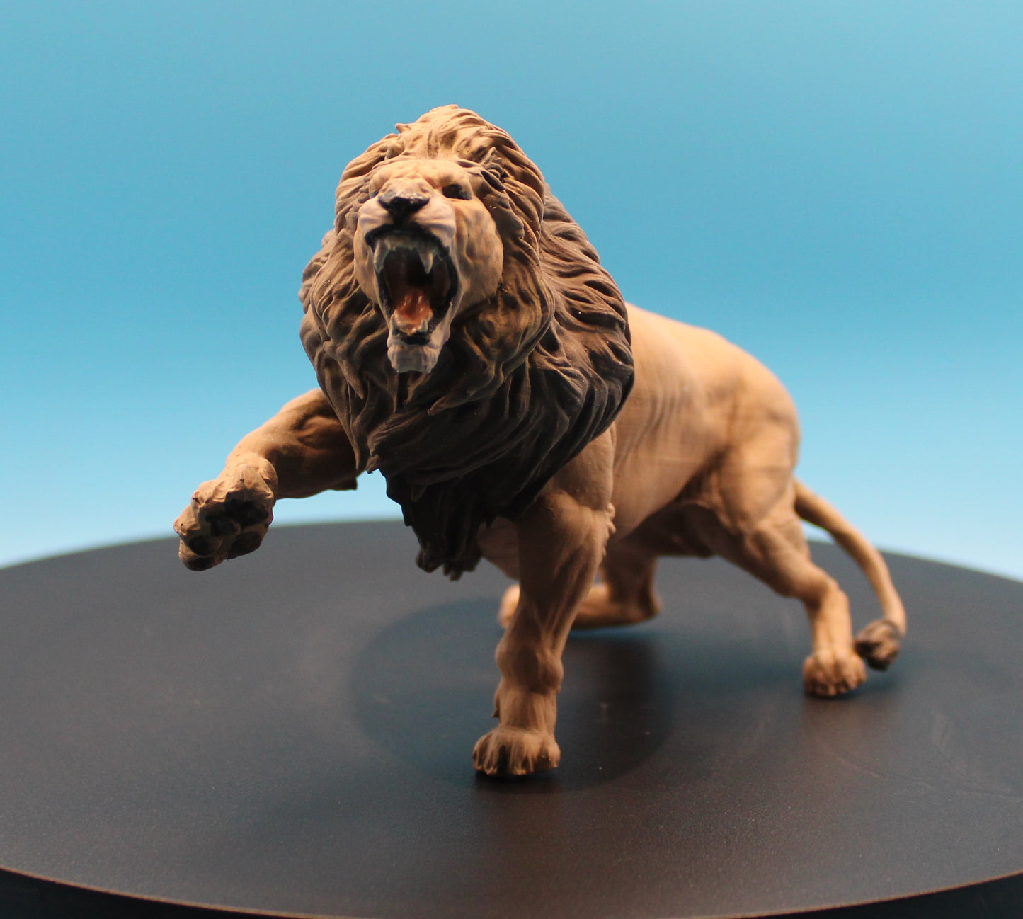 Roaring King – The Lion in Attack Stance