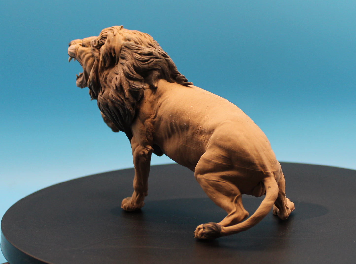 Roaring King – The Lion in Attack Stance