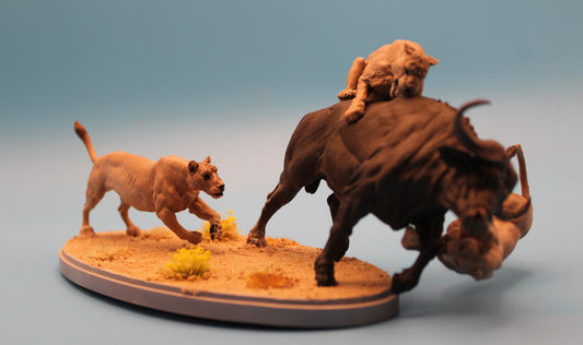 The Last Stand – Lioness vs. Buffalo Diorama