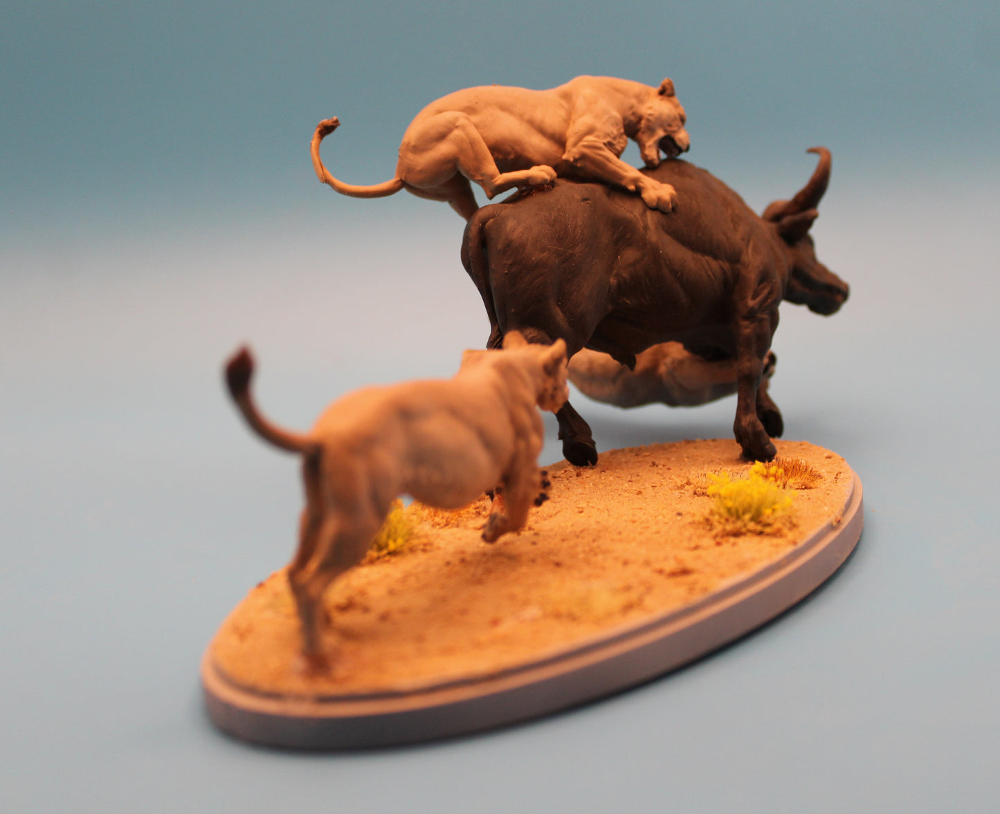 The Last Stand – Lioness vs. Buffalo Diorama