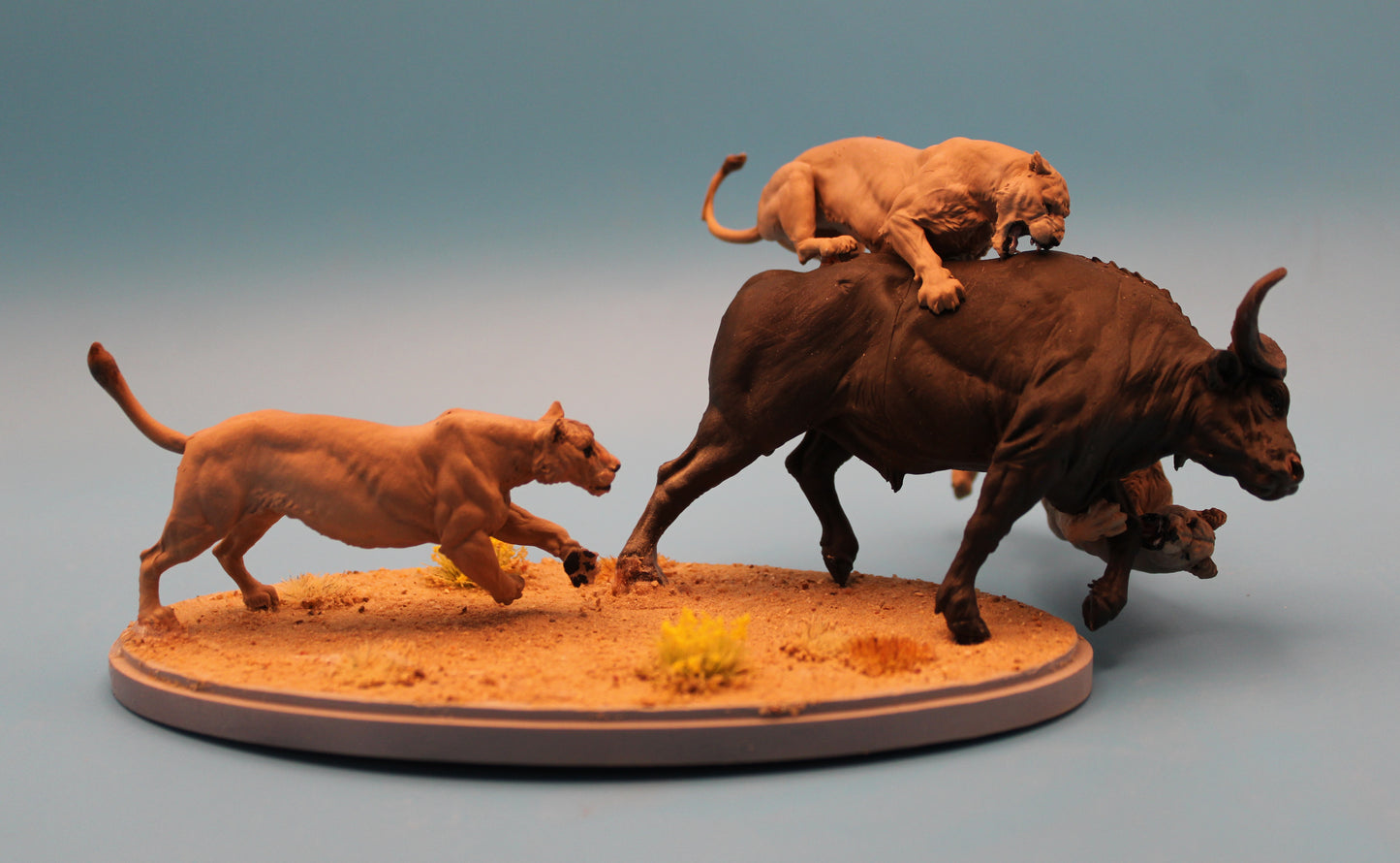 The Last Stand – Lioness vs. Buffalo Diorama