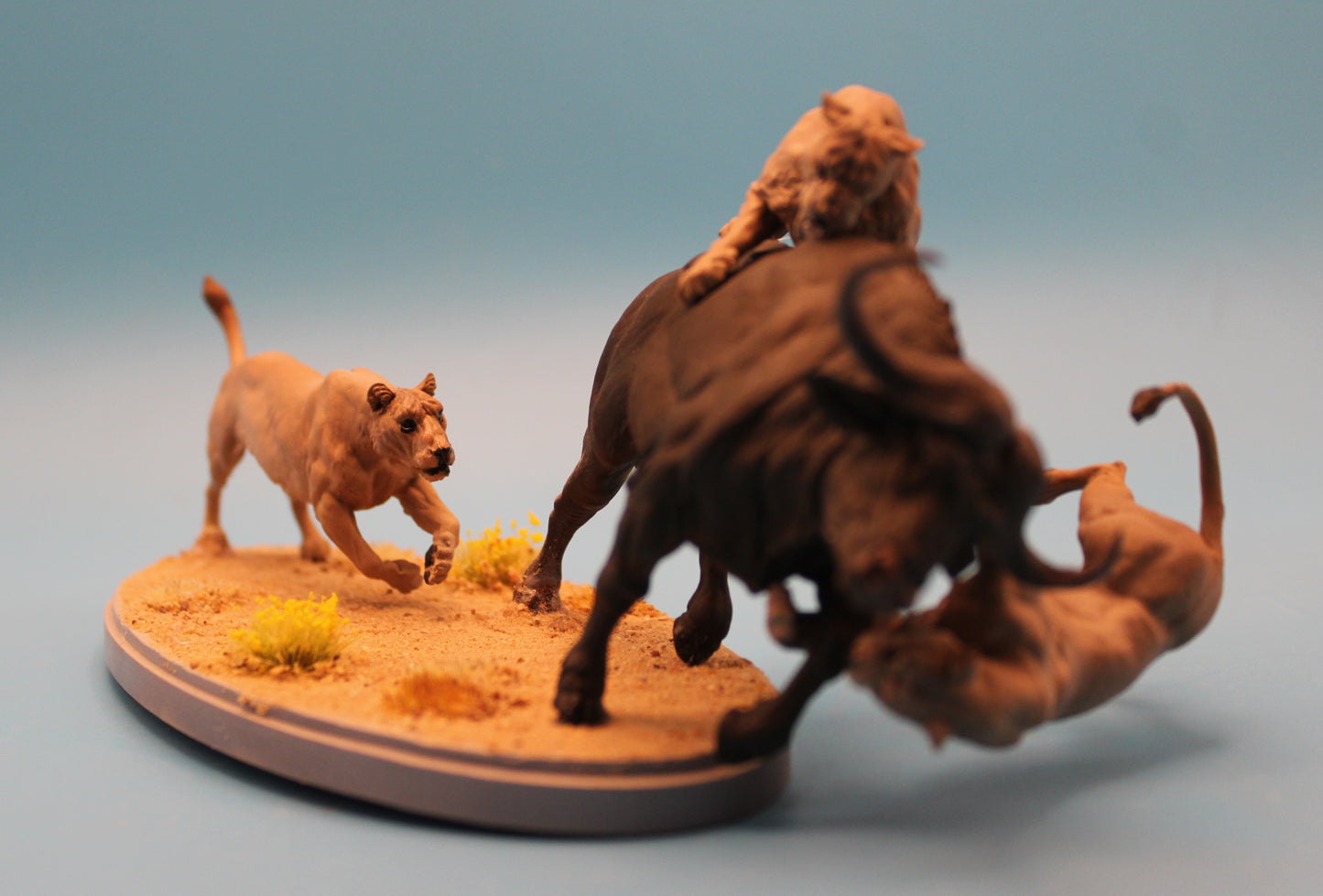 The Last Stand – Lioness vs. Buffalo Diorama